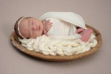 Vicky FERRE - VICKY FERRE PHOTOGRAPHIE