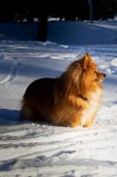 Mathis JOUSSET - MJ Community